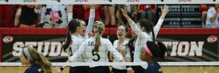 carley_ramich's profile banner image