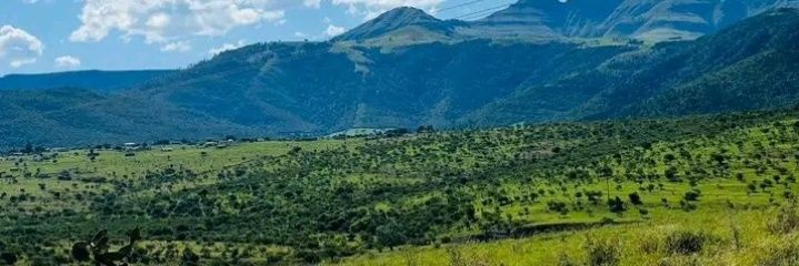 Sphiwe_Sosibo's profile banner image