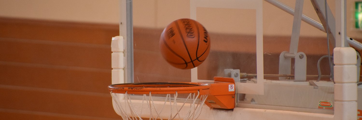 フジテレビ☆バスケットボール's banner