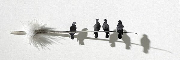 Mahnoosh_Rudd's profile banner image