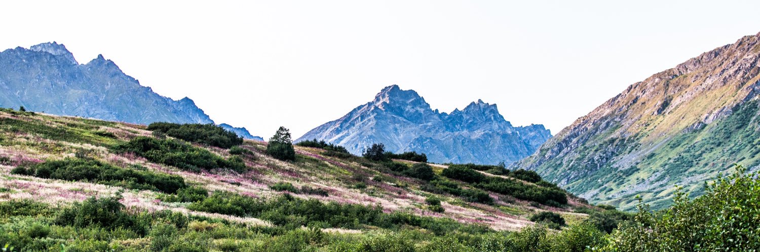 marisariley21's profile banner image