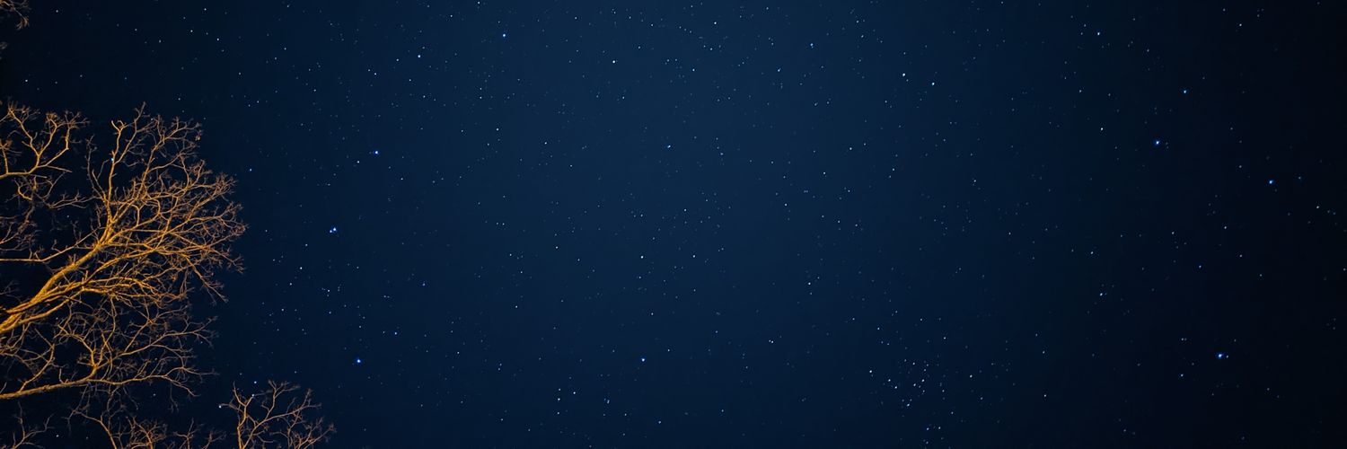 beezerblanks's profile banner image