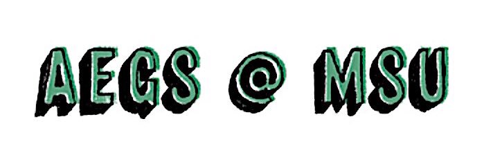 MSUAEGS's profile banner image