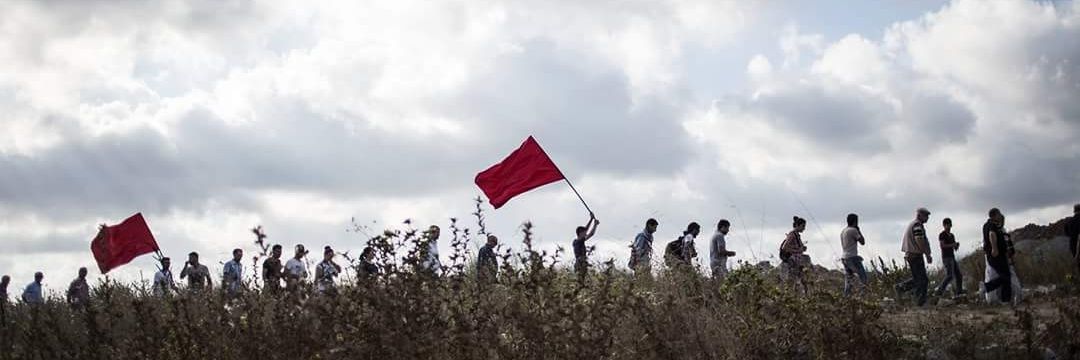 Kurtuluş Arı banner