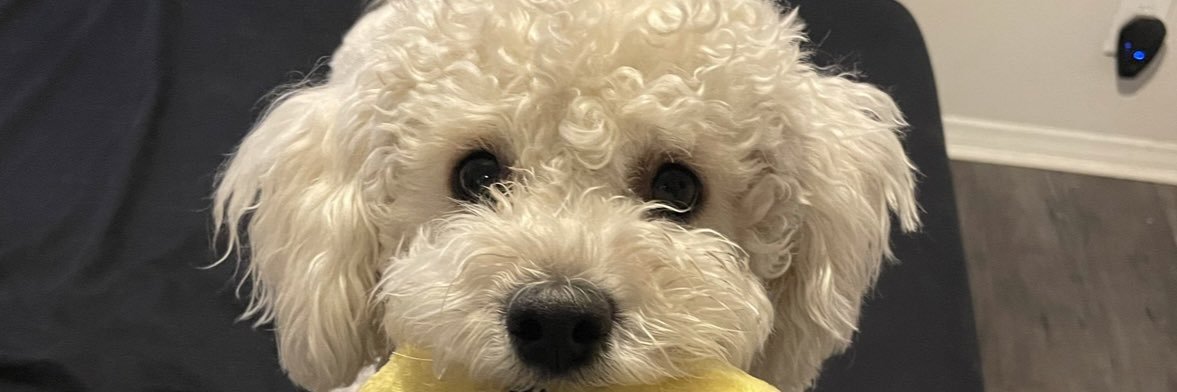 hellobunji's profile banner image