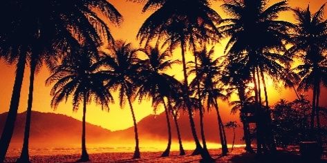 rifaldi_agam's profile banner image
