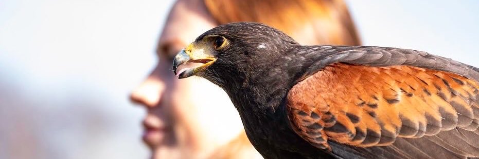 EmilyRQuantrill's profile banner image
