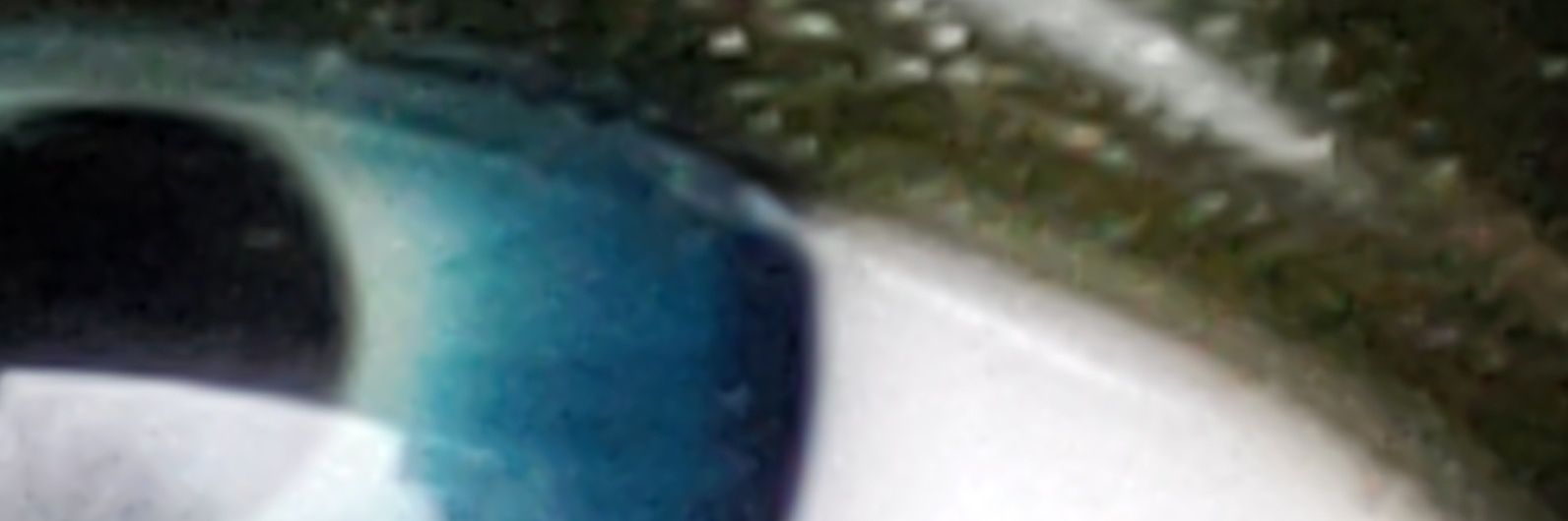 Titomagneto978 banner