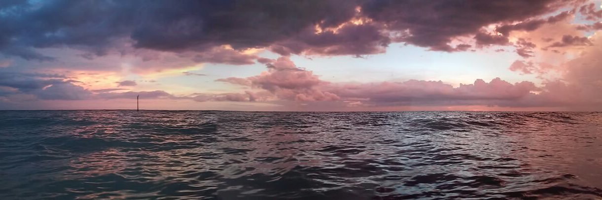 theonlysouu's profile banner image