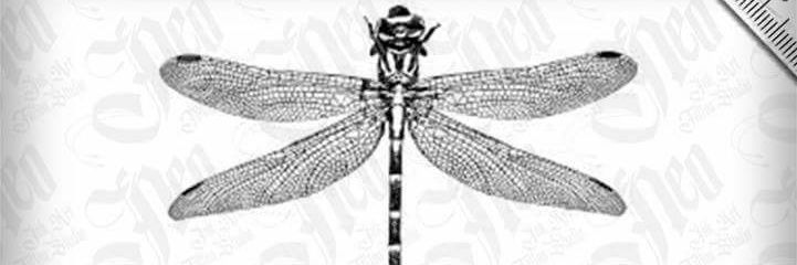 caracter2_0's profile banner image
