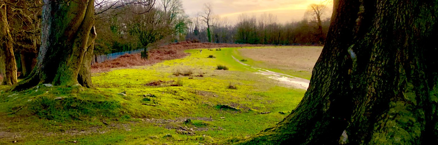 Martin Walker banner