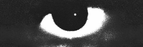 selfii9's profile banner image