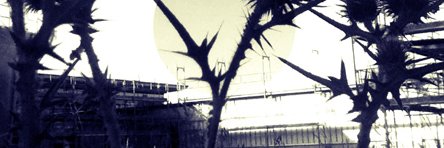JAZRostock's profile banner image