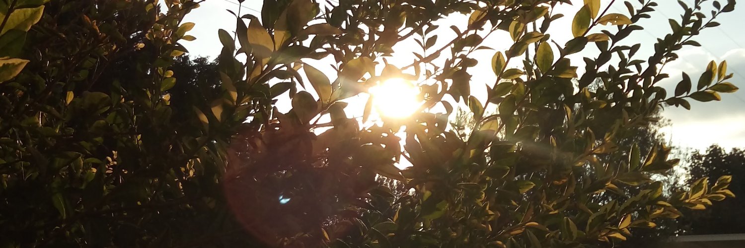 SaltySea__'s profile banner image