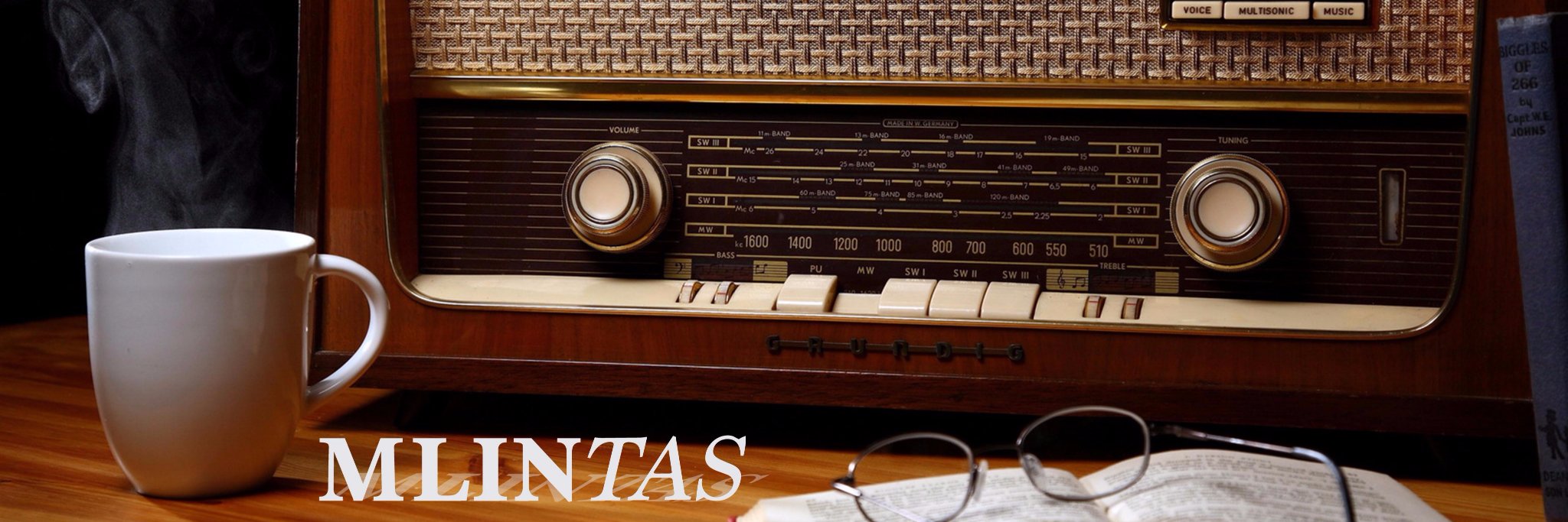 mlintasID's profile banner image