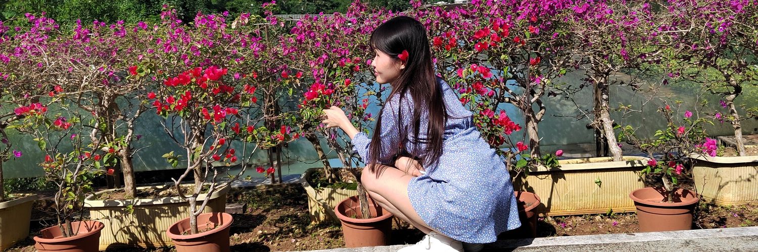 Ole X. Carlsen banner