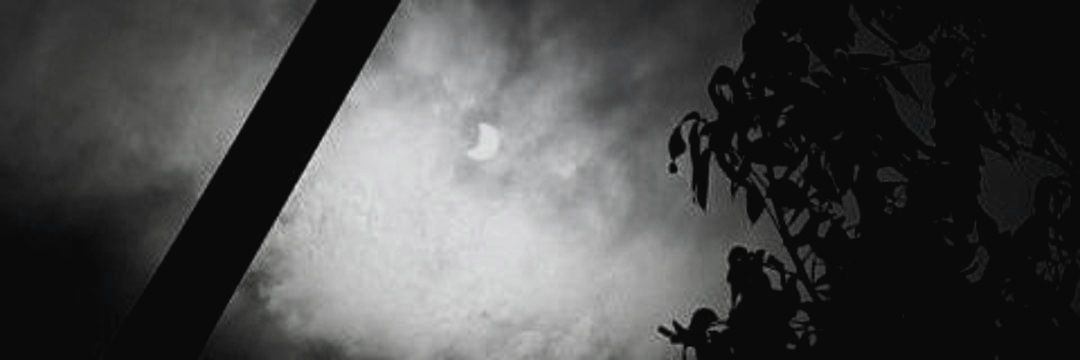 MattPicardal's profile banner image