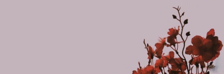 sanoon_93's profile banner image
