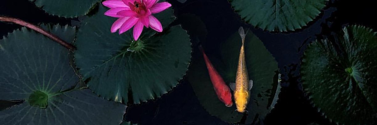 oguzergnc's profile banner image