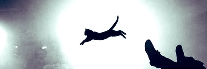 ferndwp's profile banner image