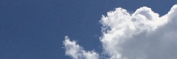 Pascalini Profile Banner