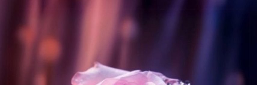 moom6040's profile banner image