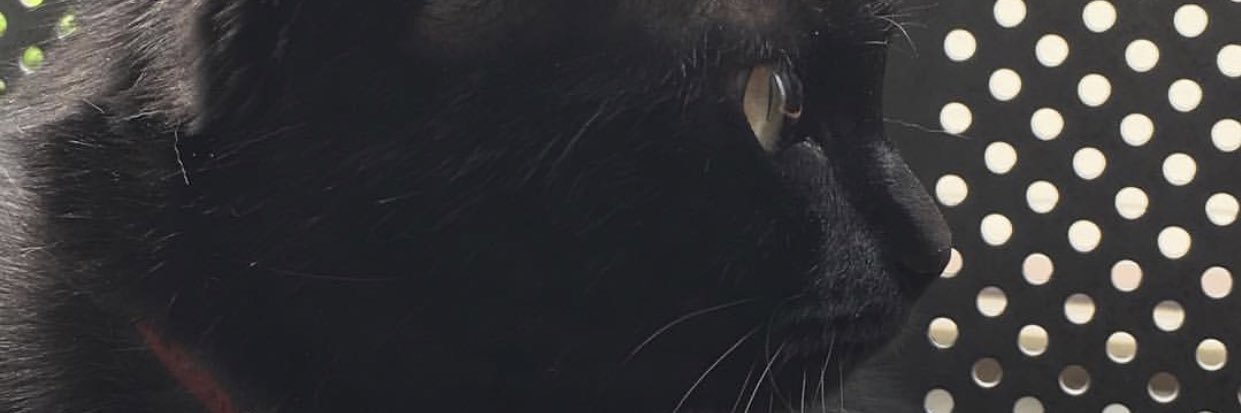 clowdernekozoku's profile banner image