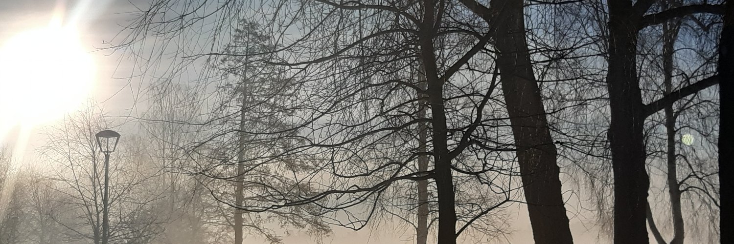 anna_parnanen's profile banner image