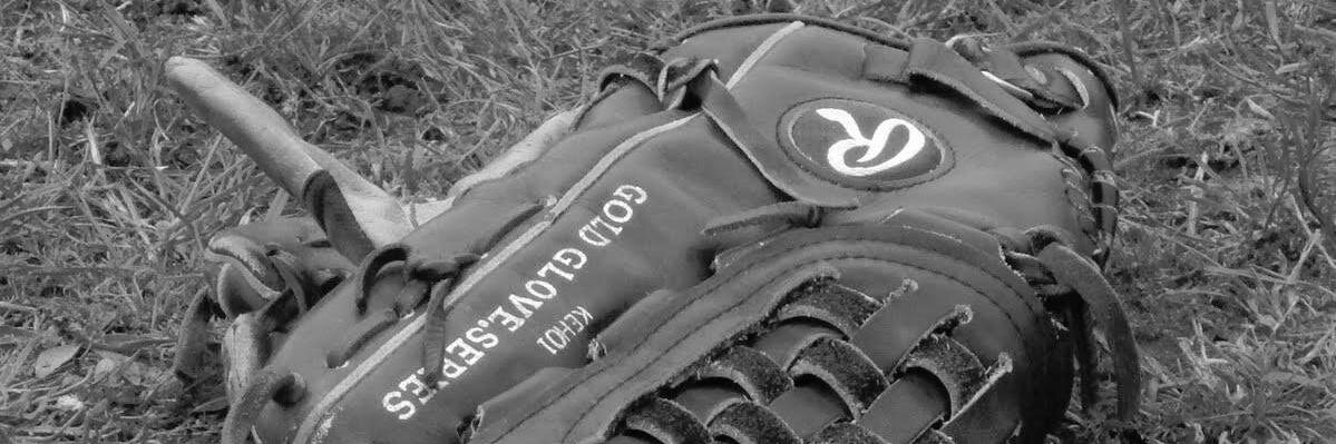 Expos Ermont banner