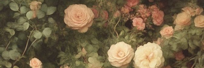 5ss_z's profile banner image