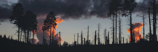 EricDMarcotte Profile Banner