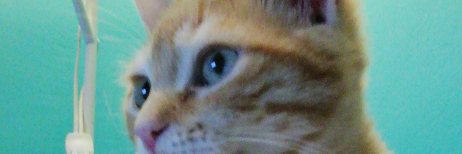 _noelia2296's profile banner image