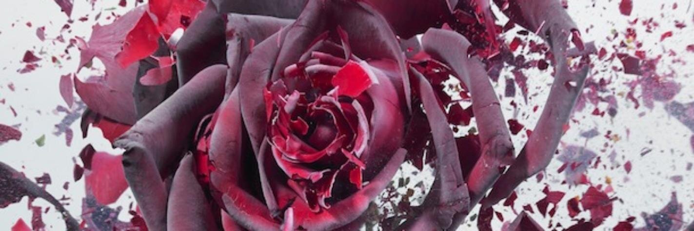 ceemack29's profile banner image