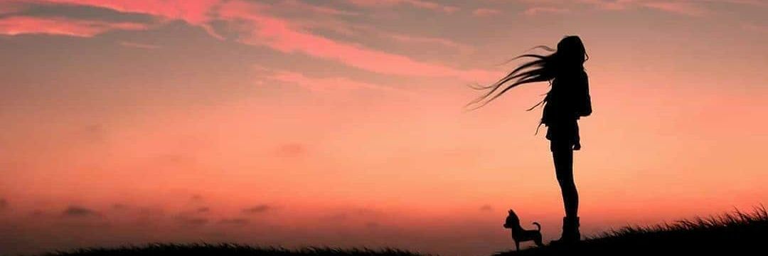 BelloZia's profile banner image