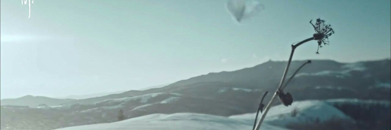 heba_aah's profile banner image