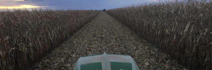 CV Blankenburg banner