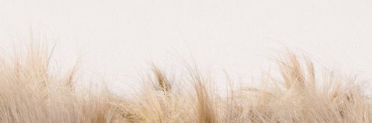 KAJohnson87's profile banner image