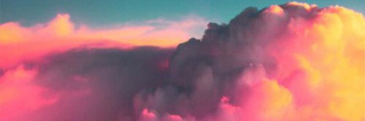 catoro261's profile banner image