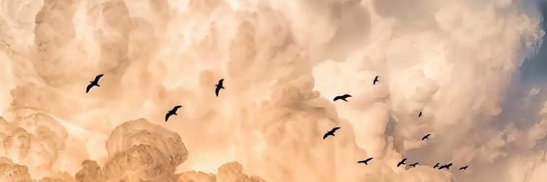 Nagybook's profile banner image
