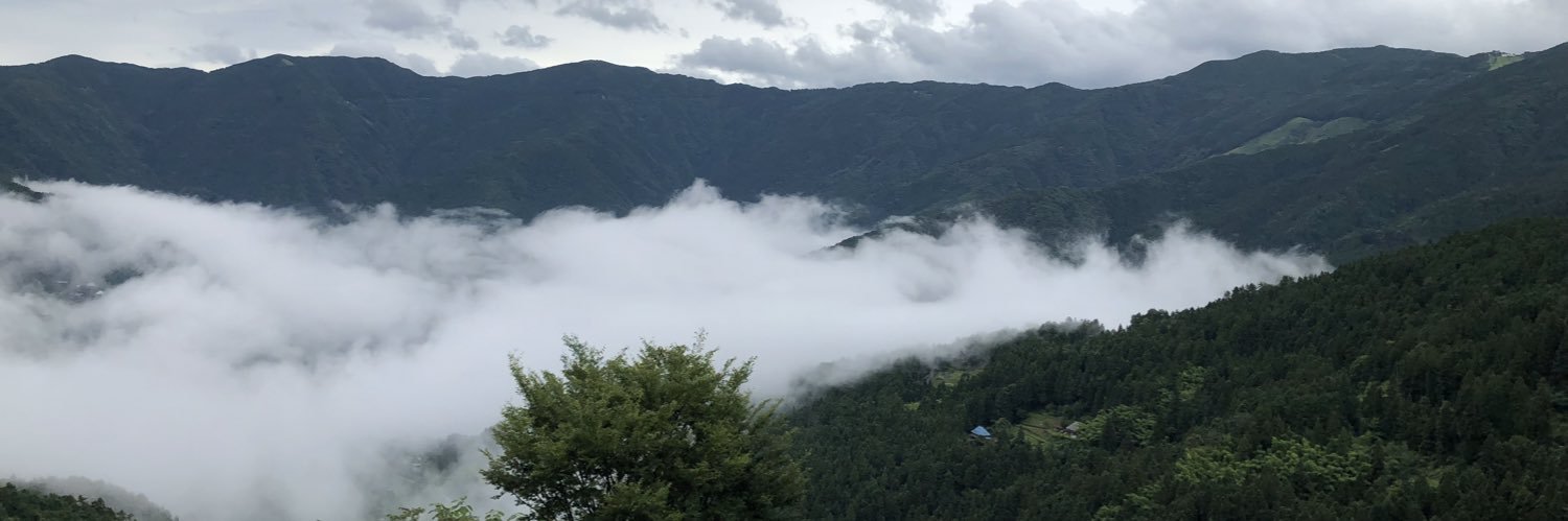 みけねこ🧵💭 banner