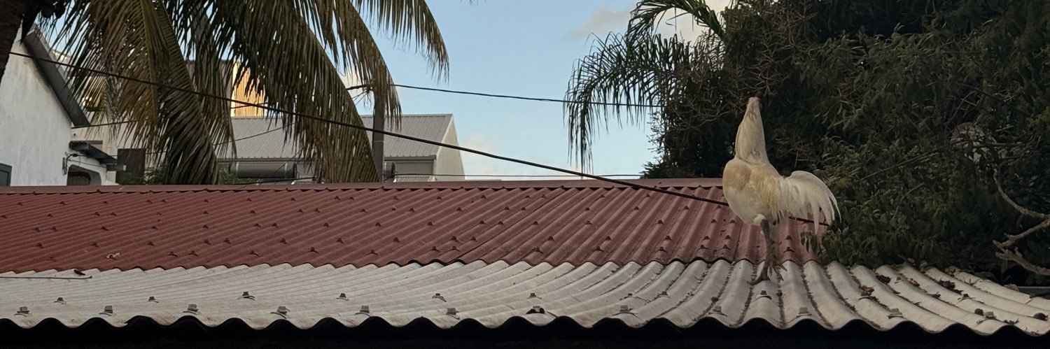 oyeStepvor's profile banner image