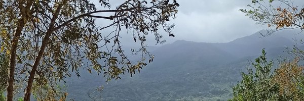 bigmike1388 Profile Banner