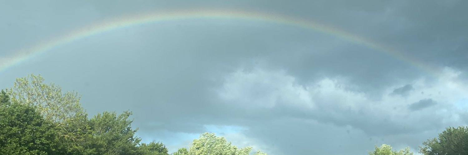 bluebyrd5555's profile banner image