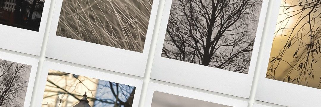 greenmtch_'s profile banner image