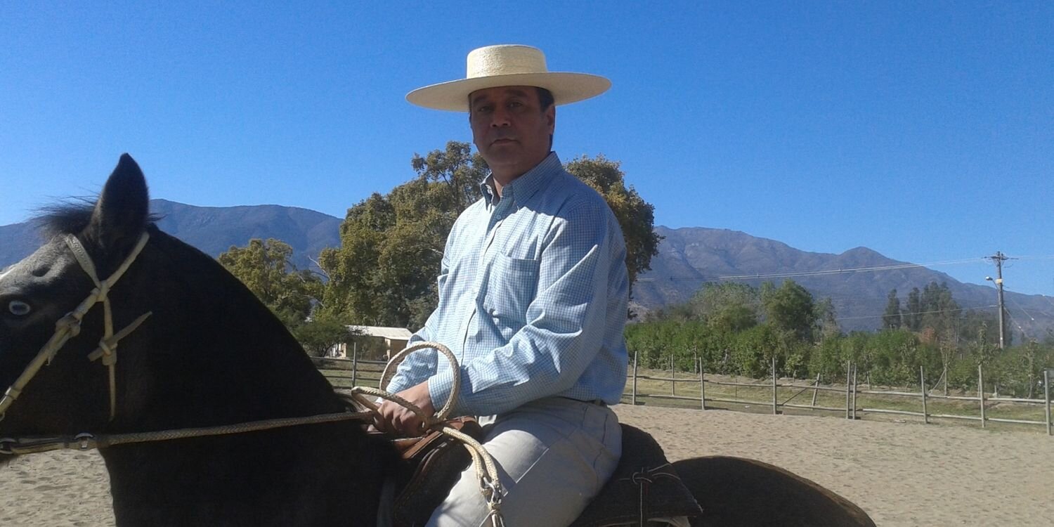 Pablo rojas muñoz banner