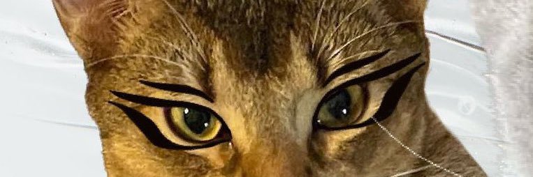 น้องน้วยล์ banner