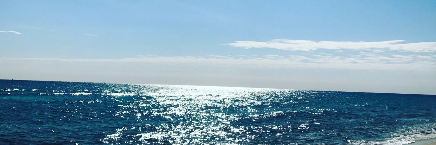 carolinagersche's profile banner image