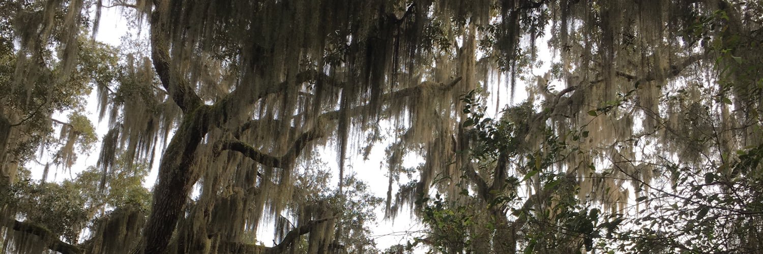 Lindsay Pantinakis banner