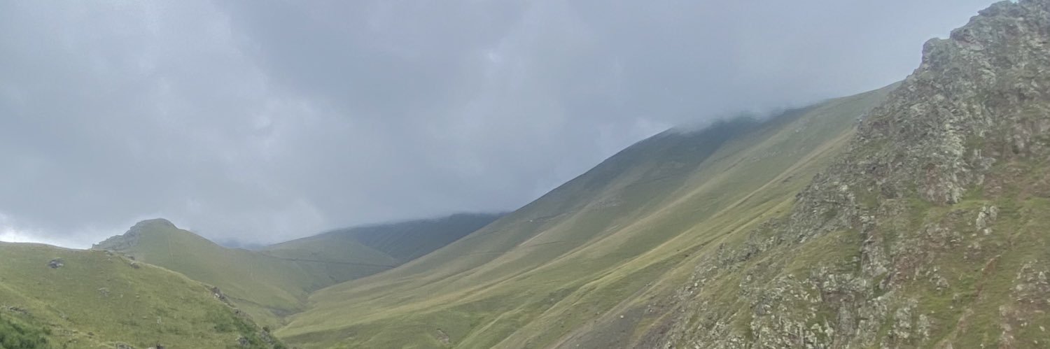 saddmops's profile banner image