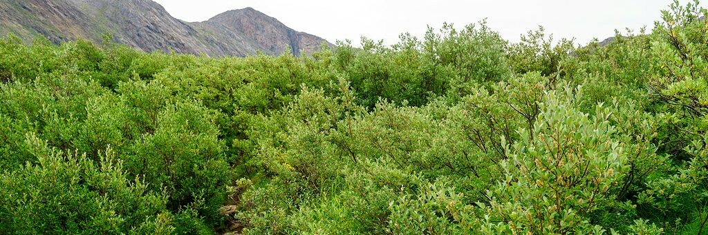 MariaFlaminga's profile banner image